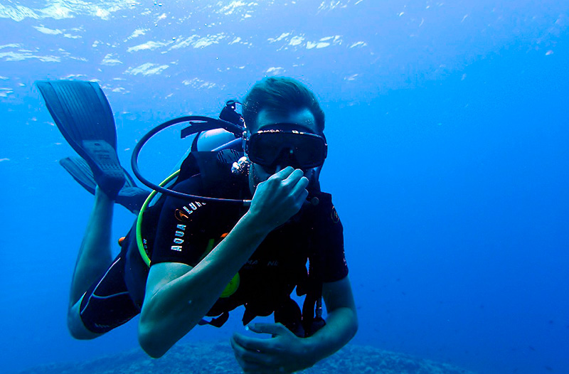 diving- plongée sous marine golfe du morbihan